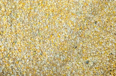 Mixed different grain. Mixed different grain. Feed for farm animals Copyri... Stock Photos