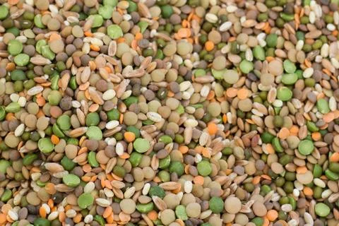 Mixed Dried Beans Stock Photos
