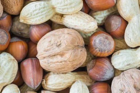 Mixed dried fruit with shell (hazelnuts, walnuts, peanuts) Stock Photos