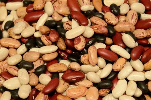 Mixed dry beans Stock Photos