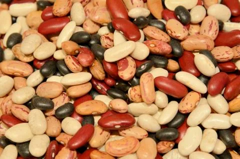 Mixed dry beans Stock Photos