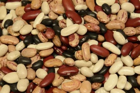 Mixed dry beans 스톡 사진