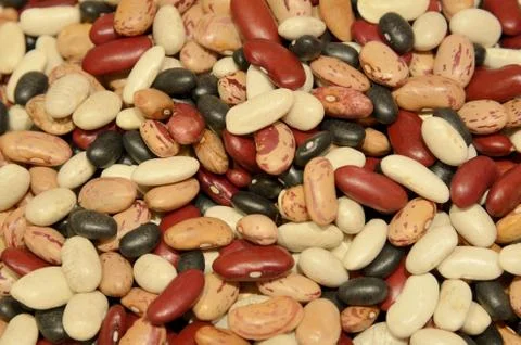 Mixed dry beans 写真素材