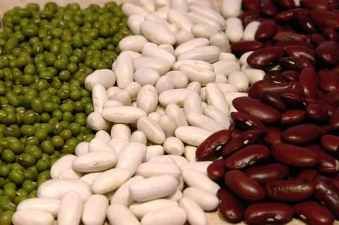 Mixed dry Beans Foto stock