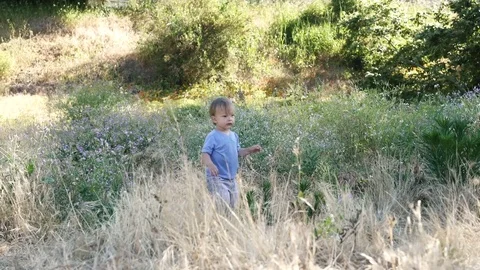 Mixed ethnicity toddler boy exploring in sunny meadow Video stock 79548591