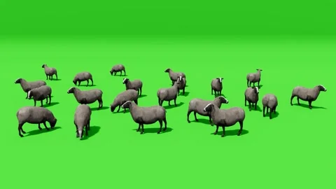 Mixed Farm Animals Stylized on Chroma Green Stock Footage 312973001