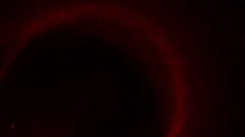 Mixed flares Vídeos de archivo 62806012