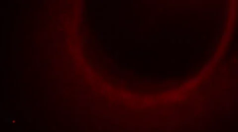 Mixed flares Video stock 62806151