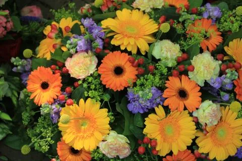 Mixed flower arrangement Stock Photos