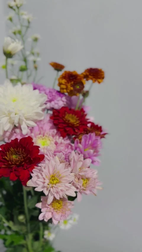 Mixed Flowers in Vase Stock Footage 339773280