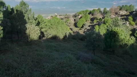 Mixed forest and open valley in the Sierra de Gredos, Spain Stock-Footage 305864967