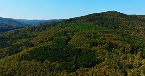 Mixed Forest Covering Vast Mountain Range In Eastern Europe Aerial Rise Stock Footage 300448005
