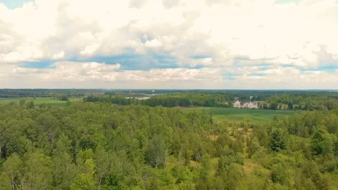 Mixed forest farm fields rivers Stock Footage 92036202