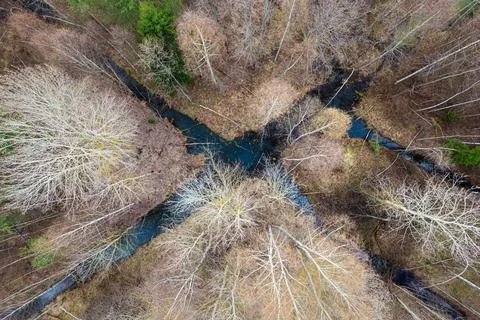 Mixed forest top-down aerial view with drainage channels Stock Photos