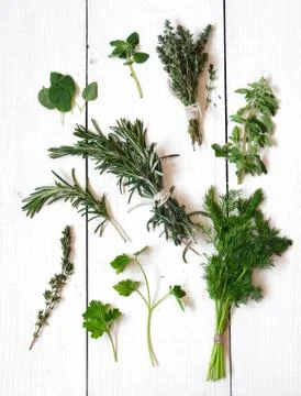 Mixed fresh herbs Stock Photos