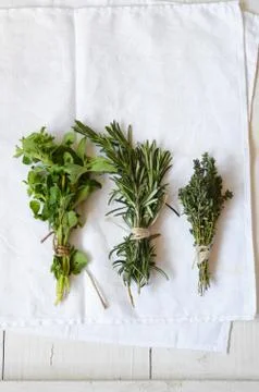Mixed fresh herbs Stock Photos