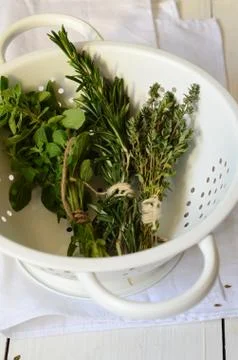 Mixed fresh herbs Stock Photos