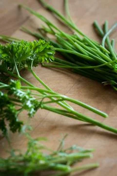 Mixed Fresh Herbs Stock Photos
