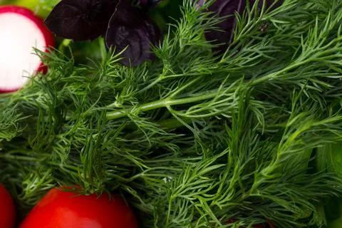 Mixed fresh vegetables. Stock Photos