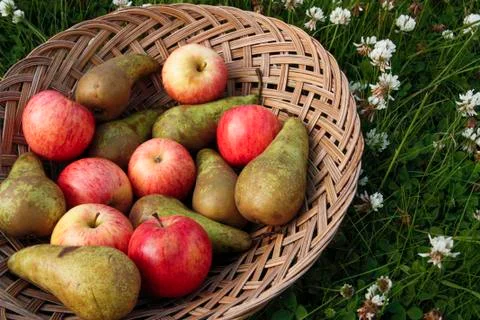 Mixed fruit Stock Photos