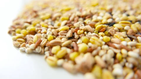Mixed Grain on White Background Stock Footage 62028920