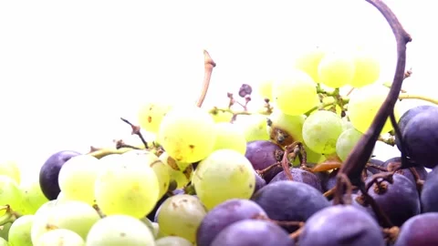 Mixed green and black grapes rotating on white background Stock Footage 345340078