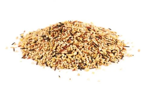 Mixed groats Stock Photos