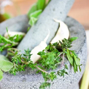 Mixed herbs in mortar Stock Photos