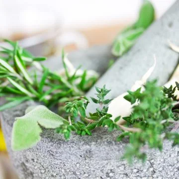 Mixed herbs in mortar Stock Photos