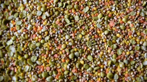 Mixed legumes plate Stock Footage 74156209