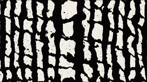 Mixed-look printing in accordance with the animation. Mixed-animation image Stock Footage 220121640