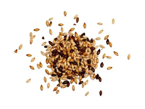 Mixed Malted Barley on White Background Stock Photos