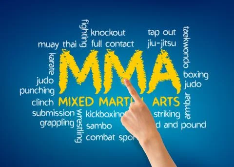 Mixed martial arts Stock Illustration
