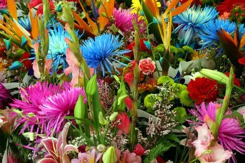 Mixed multicolored flowers Stock Photos