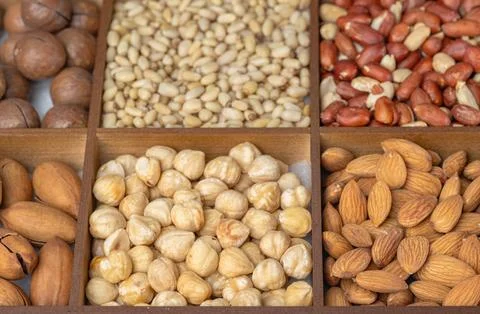 Mixed nut background: pine nuts, pistachios, cashews, almonds, hazelnuts, p.. Stock Photos