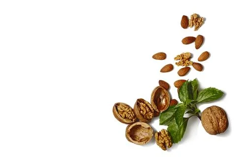 Mixed Nuts with Basil Leaf on White Background Stock Photos