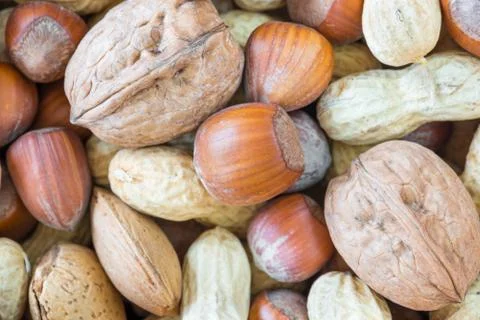 Mixed nuts with shell Stock Photos