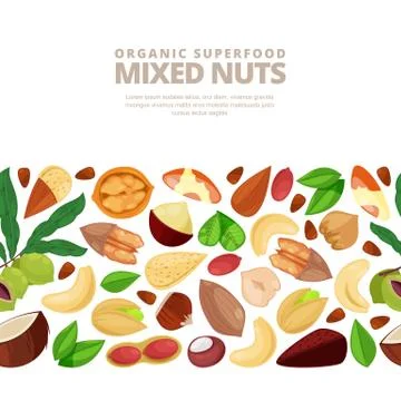 Mixed nuts vector seamless white pattern. Cartoon flat illustration. Textile イラスト素材