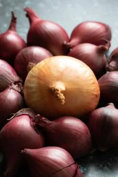 Mixed Onions Stock Photos