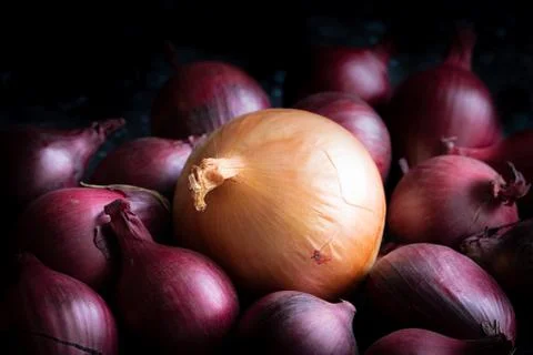 Mixed Onions Stock Photos