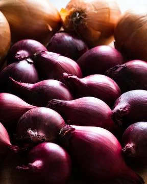 Mixed Onions Stock Photos