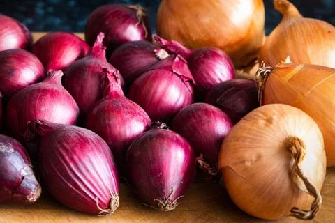 Mixed Onions Stock Photos