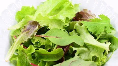 Mixed oriental salad with lettuce, red lettuce, mizuna, tatsoi and red chard, Stock Footage 321499238