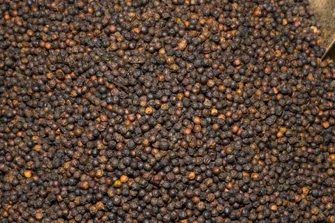 Mixed peppercorns background. Different colored peppercorns, close up. Stock Photos