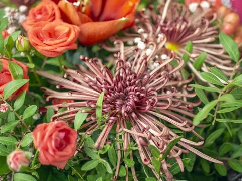 Mixed pink flower arrangement Stock Photos