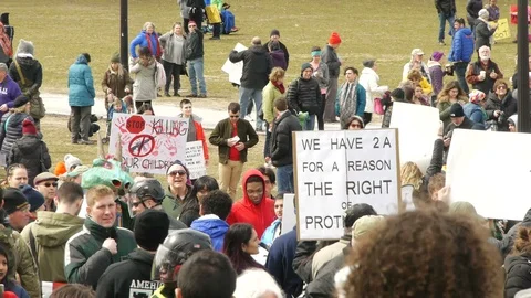 Mixed Protesters For and Against Gun Control Stock-Footage 87639374