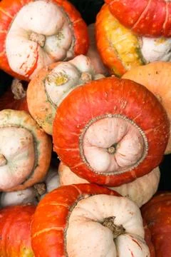 Mixed pumpkins 2 Stock Photos