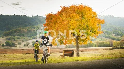 Mixed Race boys bike riding in park Stock Photos