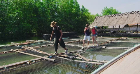 Mixed race friends walking on net walkways on fish farm tour in Asia Thailand. S Video stock 201096402