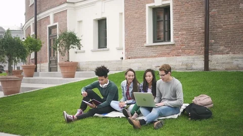 Mixed-race students siting on the pleasant grass behind campus Stock Footage 101793779